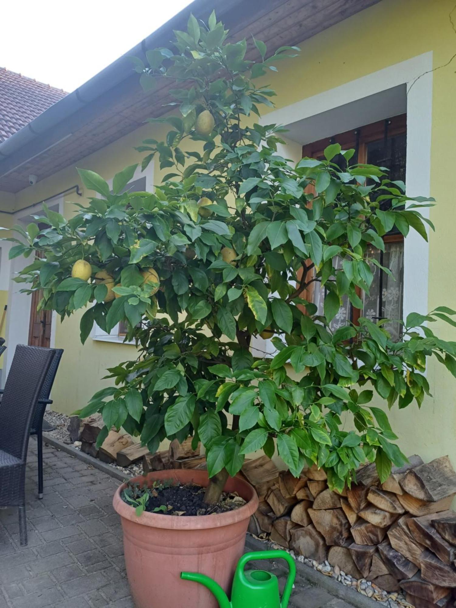 Zanati Apartmannhaz Nagykapornak Exterior foto